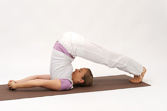 <b>PLOUGH (HALASANA)</b> – All regions of the spine are streched bringing increased flexibility to the neck and spine. Spinal nerves are nourished. Tension is released from the cervical region. Internal organs are massaged; indigestion and constipation are relieved. Kidney and bladder are strenghtened.